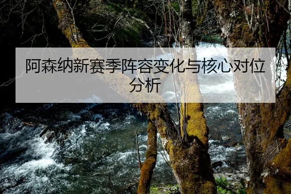 阿森纳新赛季阵容变化与核心对位分析